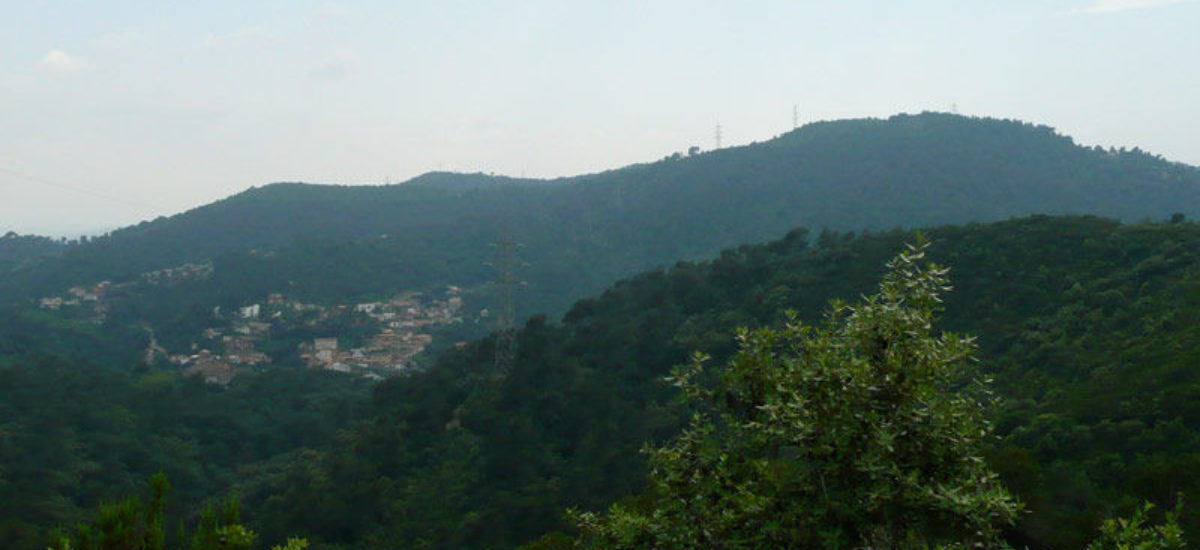 Img collserola