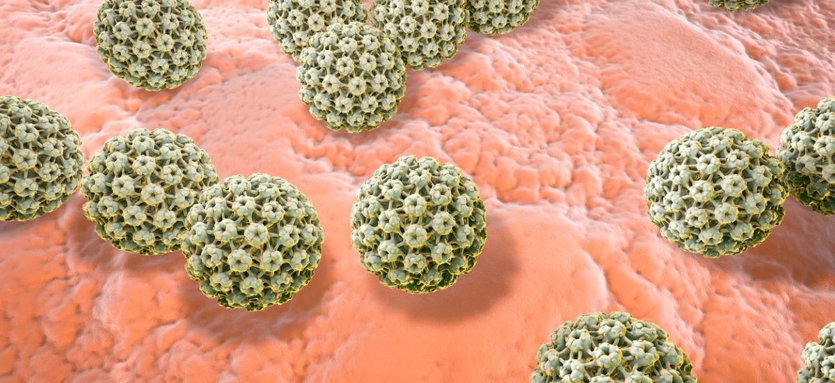 virus-papiloma-humano virus papiloma humano en hombres