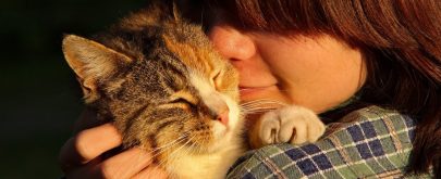 eres la persona favorita de tu gato