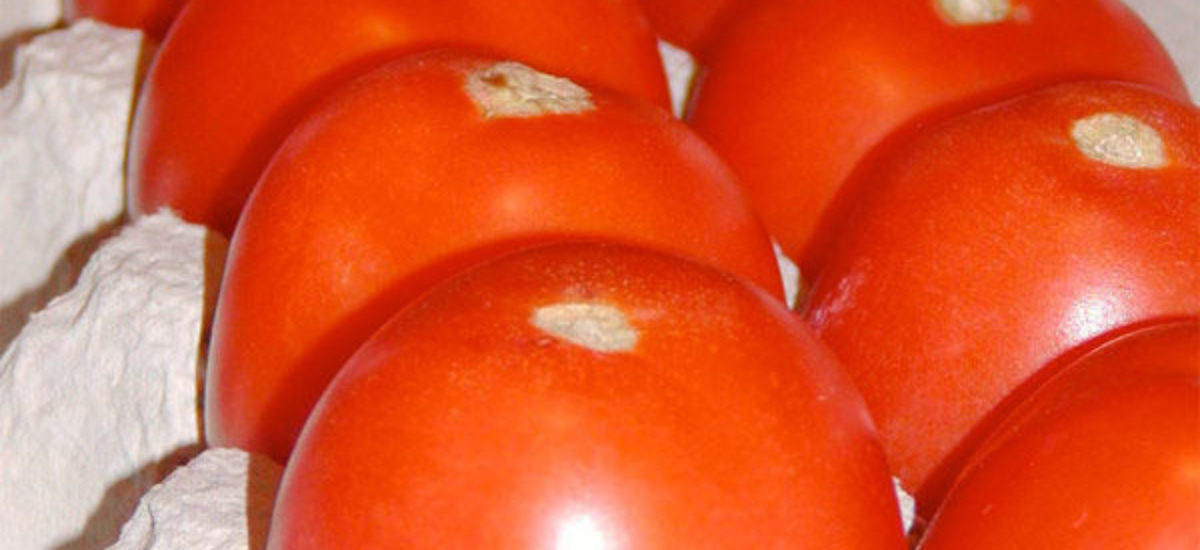 Img tomates