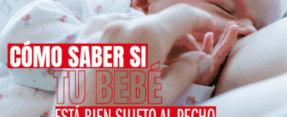 el bebé está bien sujeto al pecho