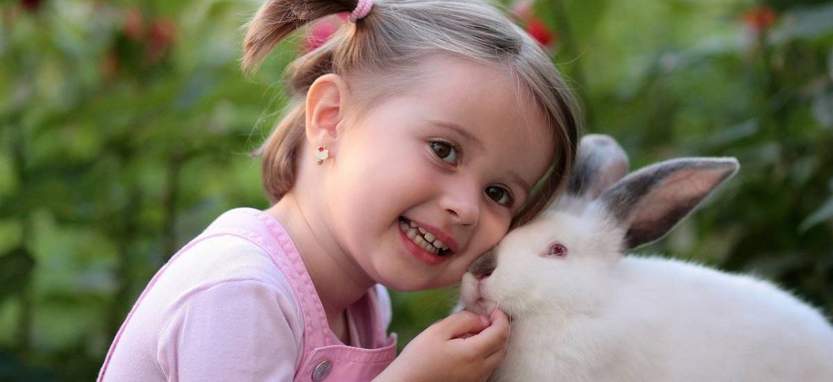 Los conejos son buenas mascotas para los niños