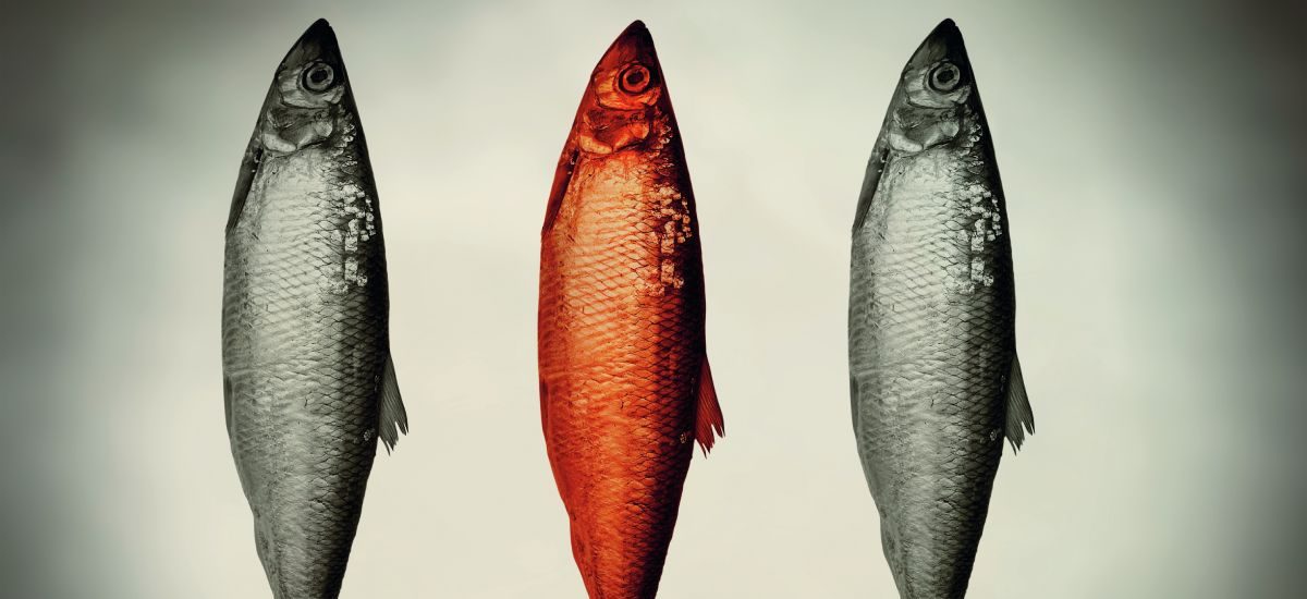 productos veganos imitación pescado
