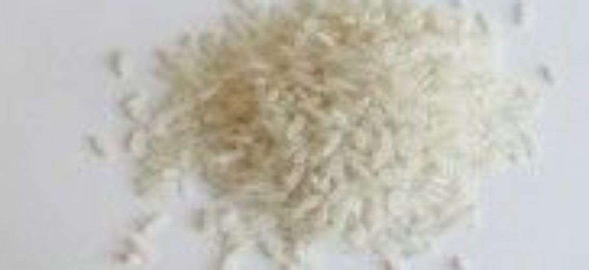 img_arroz-listado1 Img arroz listado