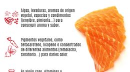 ingredientes del pescado vegano