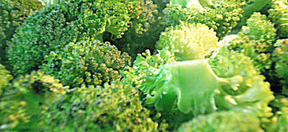 Img brocoli