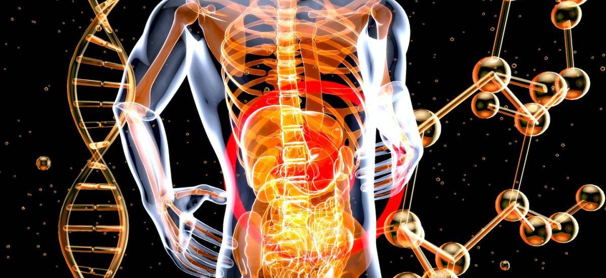 microbiota-pulmones microbiota intestinal respiratoria