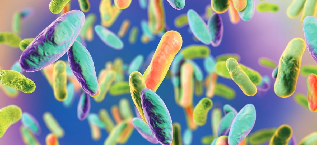 microbiota-trasplante trasplante de heces