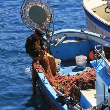 pesca sostenible en el Mediterráneo