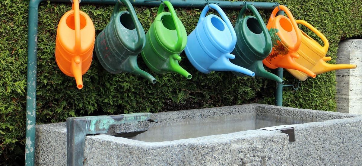 Regaderas de colores, regando plantas, primavera