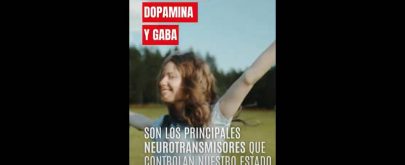 alimentación para neurotransmisores