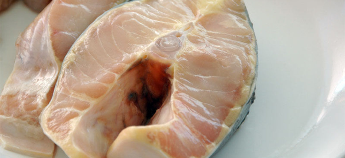 img_pescado-crudo Img pescado crudo