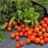 vegetales dieta antiinflamatoria