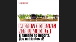 diferencias microverduras y verduras adultas