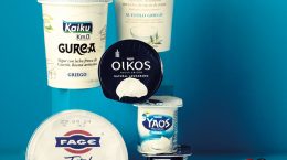 yogur1