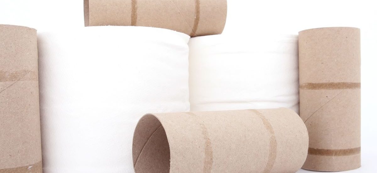 Proyecto CELEBRE papel higiénico Reutilizar el papel higiénico como bioetanol