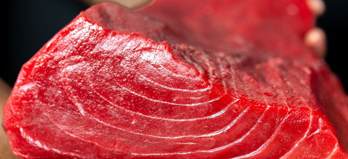 metales pesados en el pescado