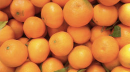 Img naranjas