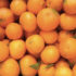 Img naranjas