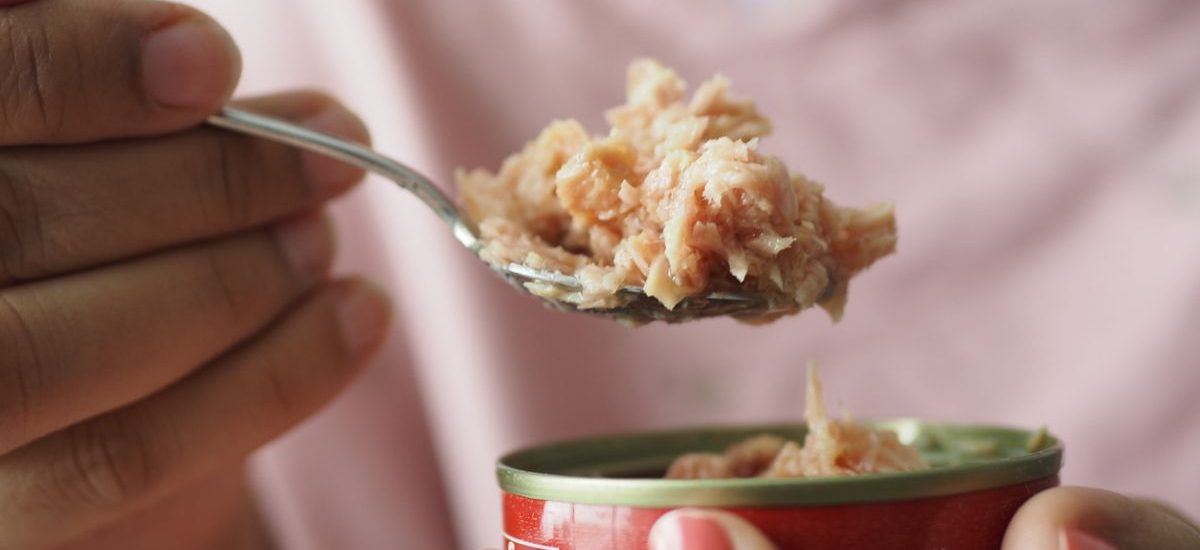 atun-lata-mercurio atún en lata y niveles de mercurio