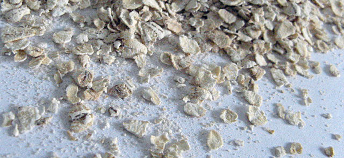 img_avena-1 Img avena