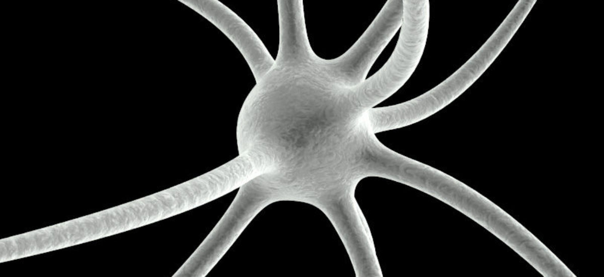 Img neurona