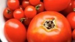 Img tomates listado