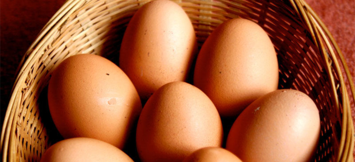 img_huevos-4 Img huevos