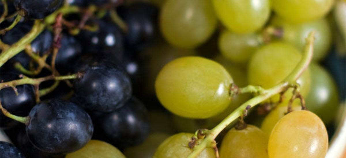 Img uvas