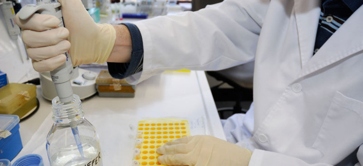 img_laboratorio-11 Img laboratorio