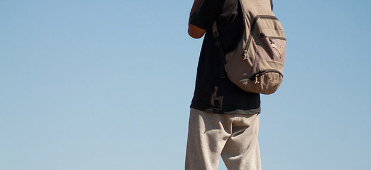 Img mejorasenal portada