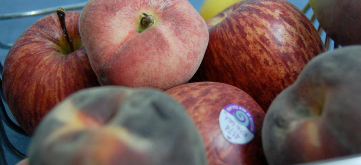 img_fruta-pegatina Img fruta pegatina