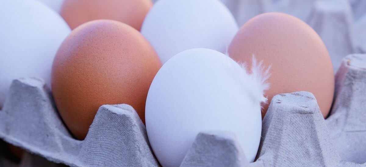 aumento de precio de los huevos