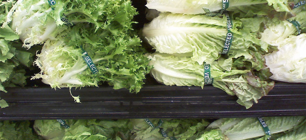 img_verduras-6 Img verduras