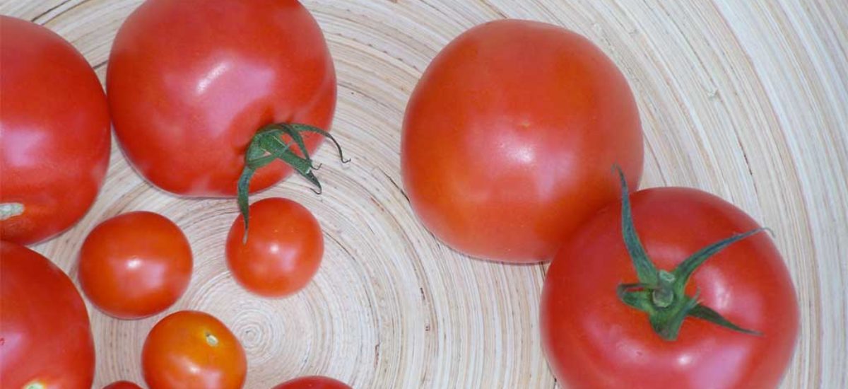 img_tomates-4 Img tomates