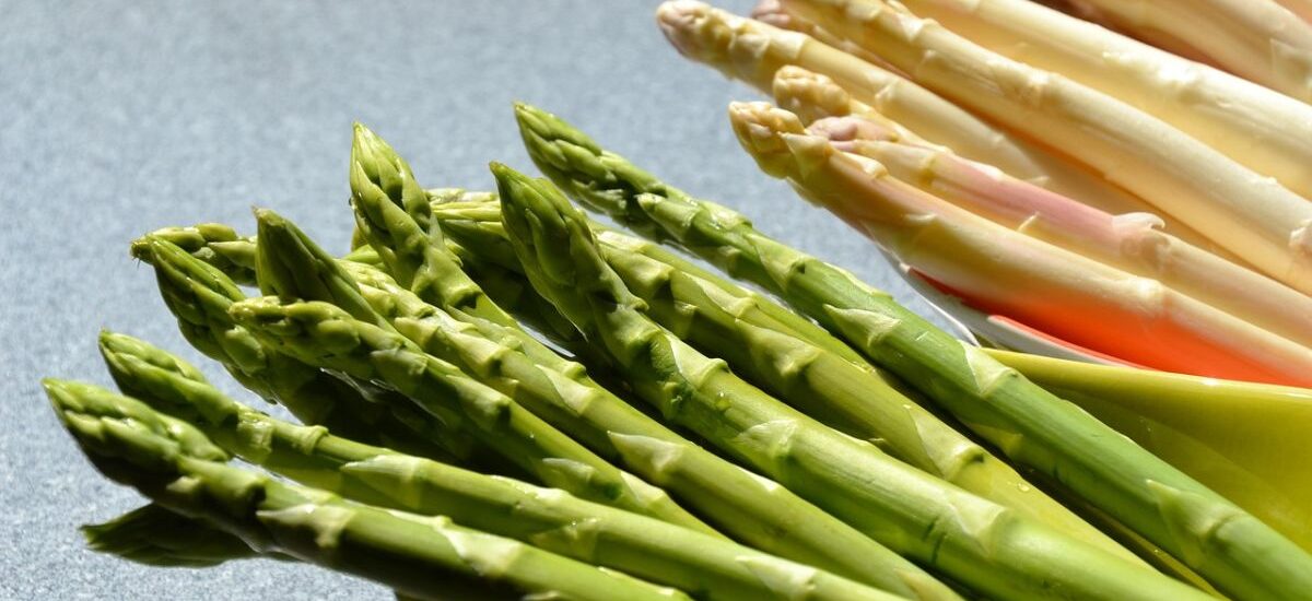 recetas con espárragos blancos y trigueros