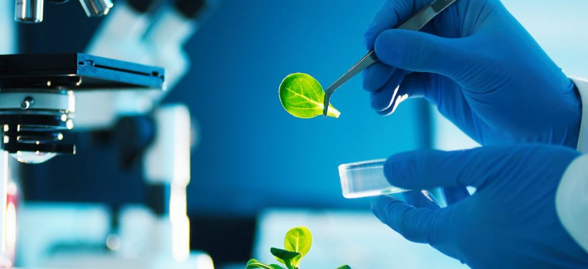 ciencia e inocuidad alimentaria