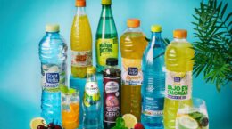 cuáles son las mejores aguas de sabores
