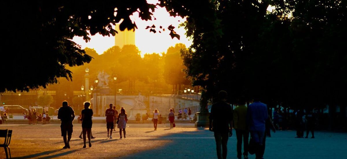 vegetación urbana contra olas de calor