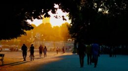 vegetación urbana contra olas de calor