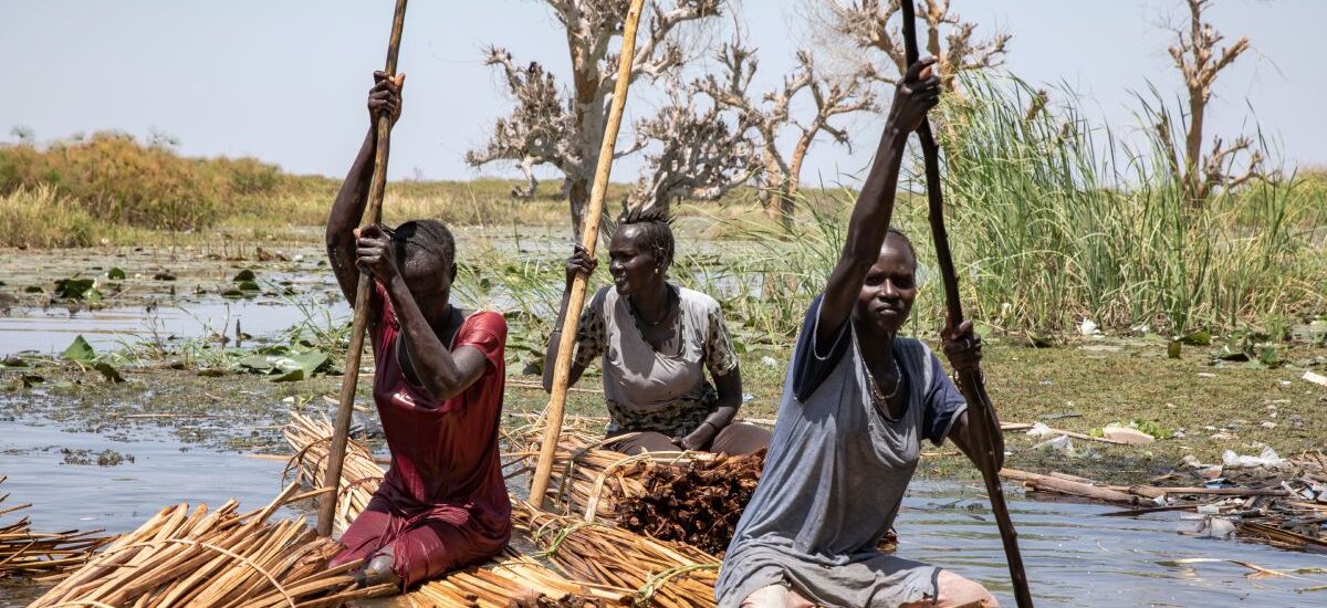 desplazamientos por culpa del clima