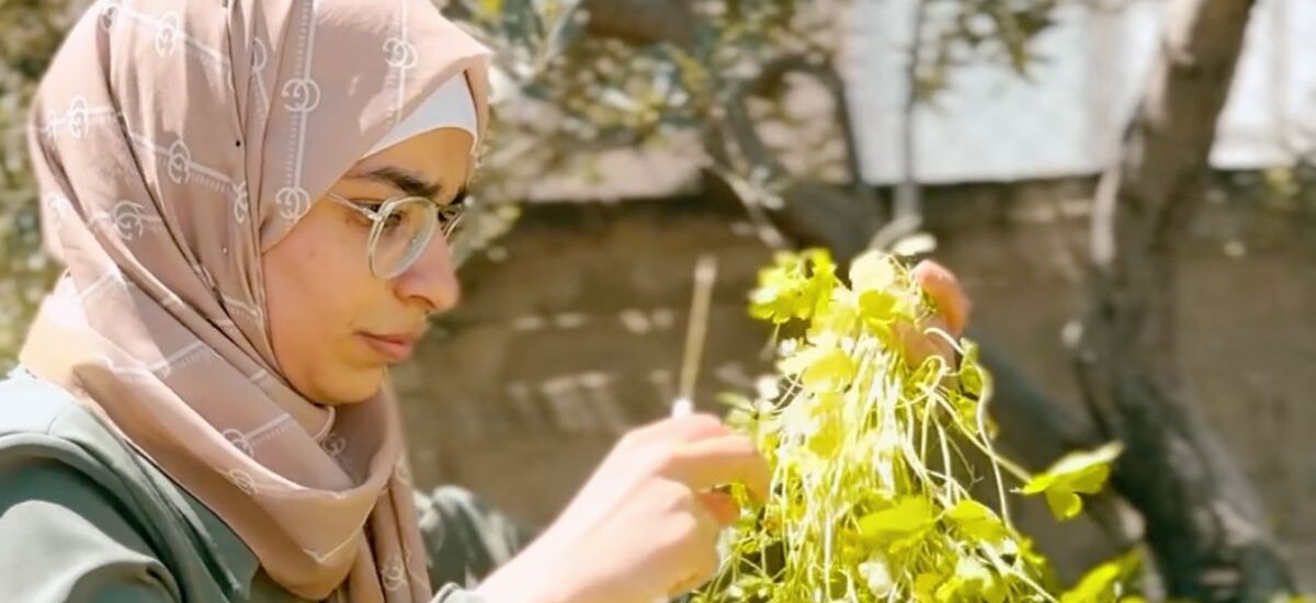 agricultura ecológica en Cisjordania