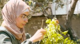 agricultura ecológica en Cisjordania