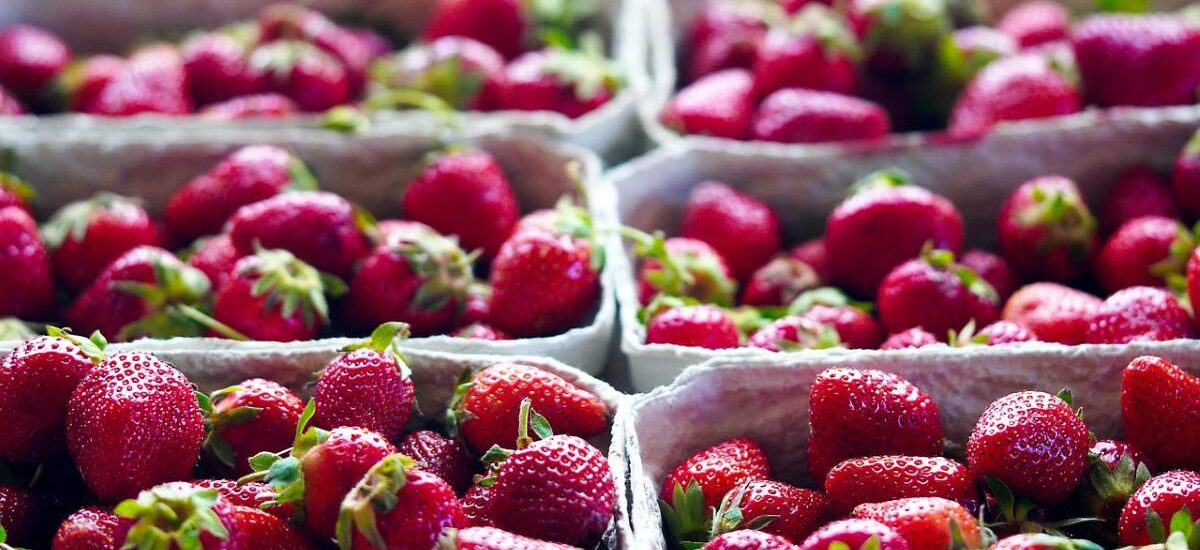 bioenvases con fresas