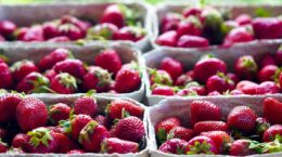 bioenvases con fresas