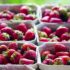 bioenvases con fresas