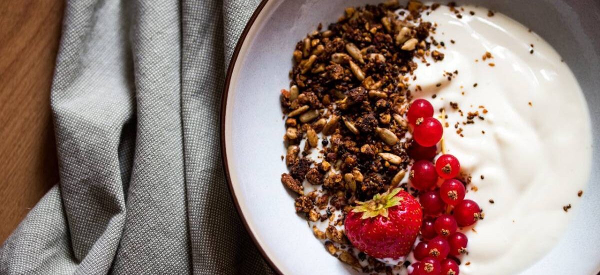 yogur vegetal propiedades