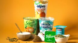 postres lácteos veganos