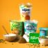 postres lácteos veganos