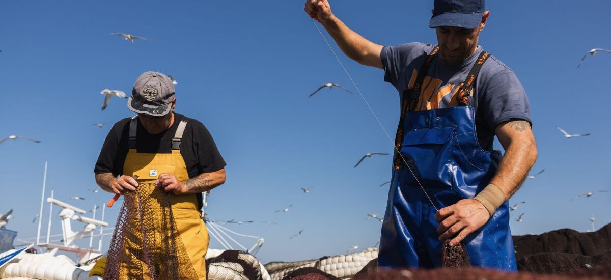 sostenibilidad en la pesca